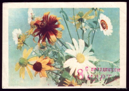 1965 год Т.Ананьина Цветы