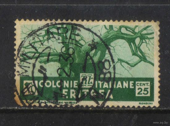 Италия Колонии Эритрея 1933 Баобаб Стандарт #208