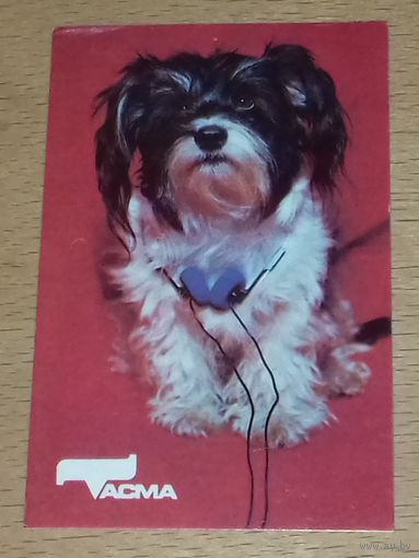 Календарик 1991 Собаки. Тасма