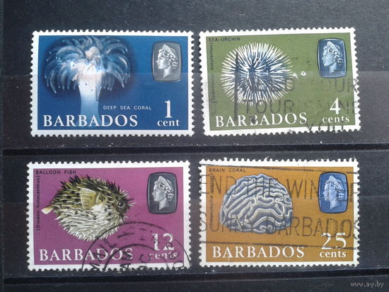 Барбадос 1965 Морская фауна