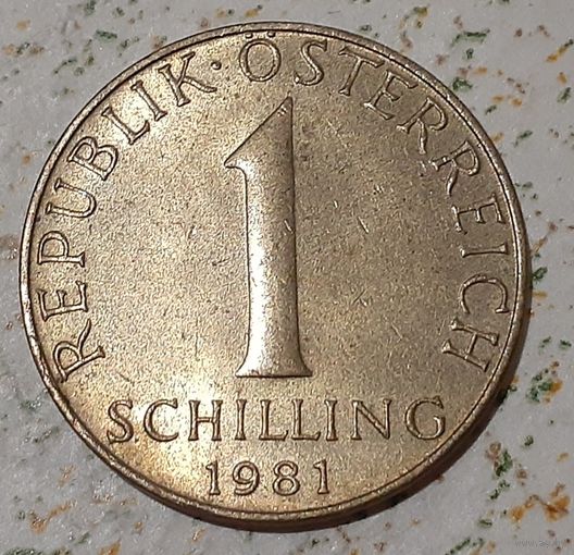 Австрия 1 шиллинг, 1981 (3-2-29)