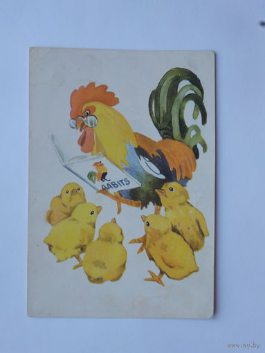 Тыниссон цыплята 1957  10х15 см