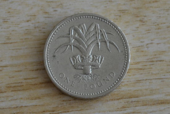 Великобритания 1 фунт 1990