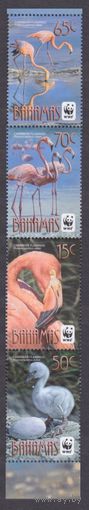 2012 Багамские острова 1447-1450 полоса WWF, Птицы