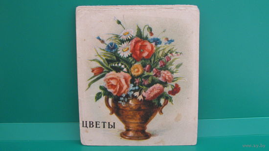 Буклет "Цветы", СССР.