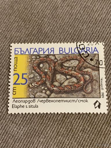 Болгария 1989. Змеи. Elaphe s. situla. Марка из серии