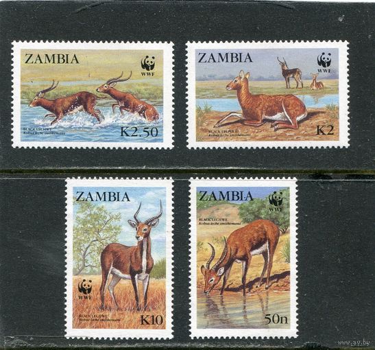 Замбия. Фауна. Водный козел