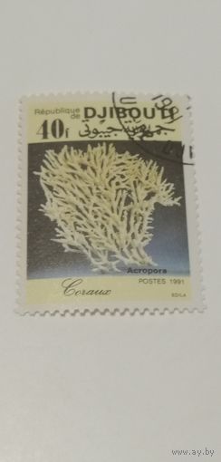 Джибути 1991. Коралл