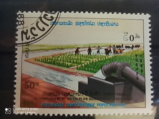 Лаос 1998, сельское хозяйство