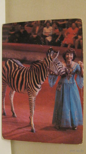 Календарик. Цирк. Ширвани. 1985г.