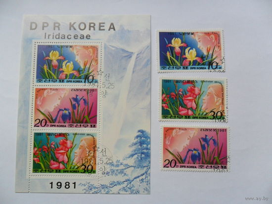 Корея, цветы