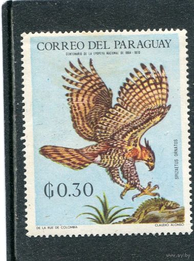 Парагвай. Птицы латинской Америки
