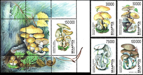 Грибы Беларусь 1999 год (341-345) серия из 4-х марок и 1 блока