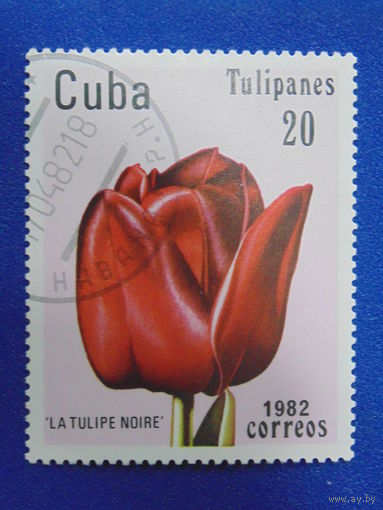Куба 1982 г. Цветы.