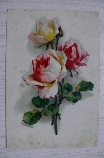 Цветы (розы); ~1950, подписана, изд. Рига.
