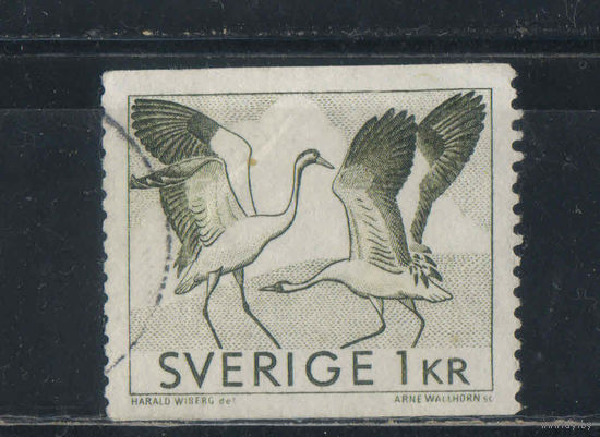 Швеция 1968 Природа Серый журавль Стандарт #600А