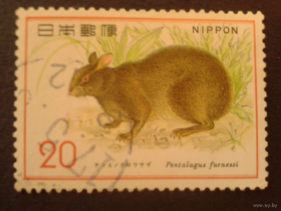 Япония 1974 фауна