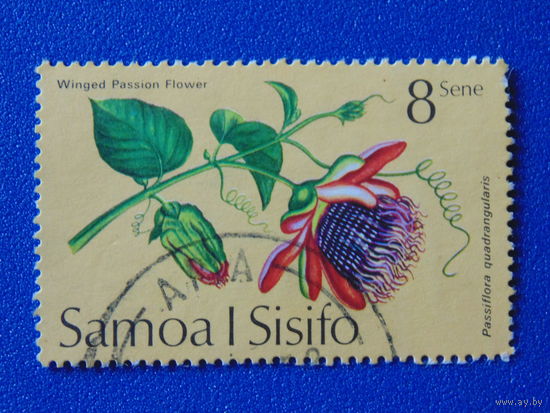 Самоа и Сисифо. Цветы.