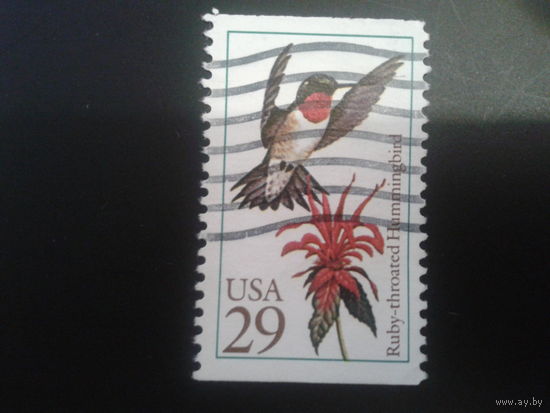 США 1992 колибри