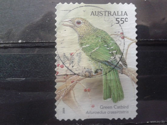 Австралия 2009 Птица