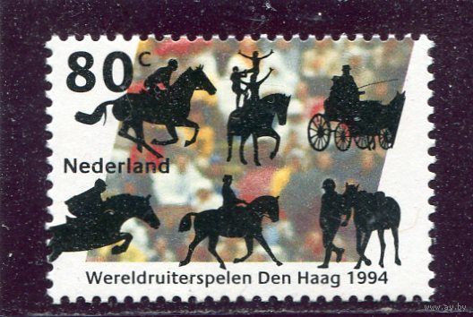 Нидерланды. Международные конные игры