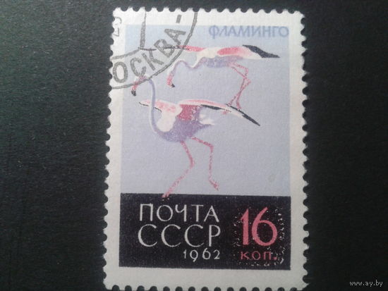СССР 1962 фламинго