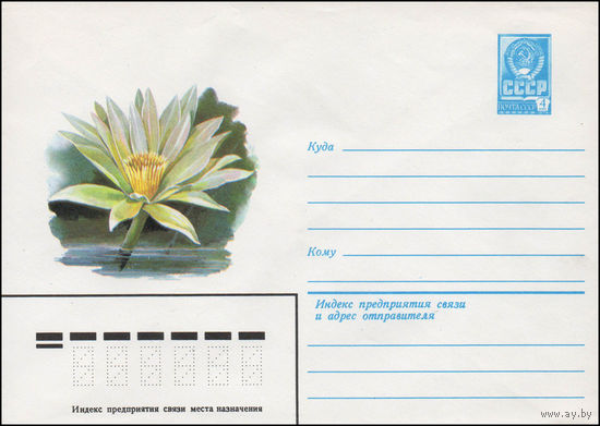 Художественный маркированный конверт СССР N 14175 (05.03.1980) [Водяная лилия]