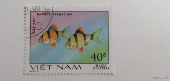 Вьетнам 1981. Аквариумные рыбки