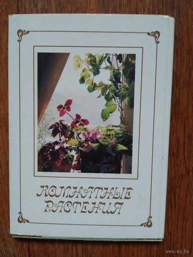 Набор открыток  Комнатные растения