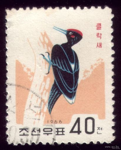 1 марка 1966 год КНДР Дятел 739