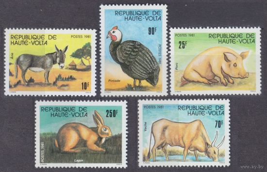 1981 Верхняя Вольта 851-855 Домашние животные 6,50 евро