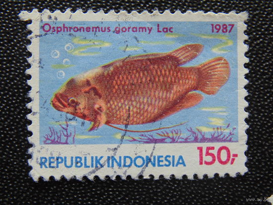 Индонезия 1987 г. Морская фауна.