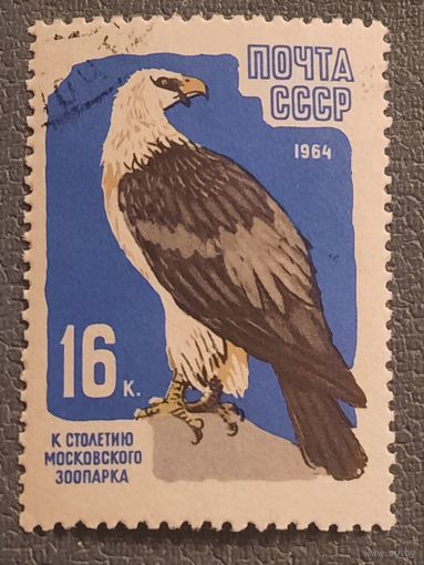 СССР 1964. Белоголовый орлан. Марка из серии