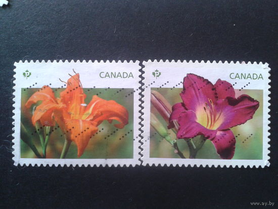 Канада 2012 цветы полная серия