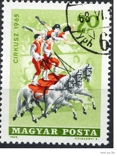 ВЕНГРИЯ 1965 ЦИРК Лошади