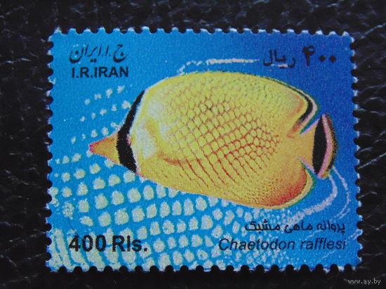Иран. Фауна.