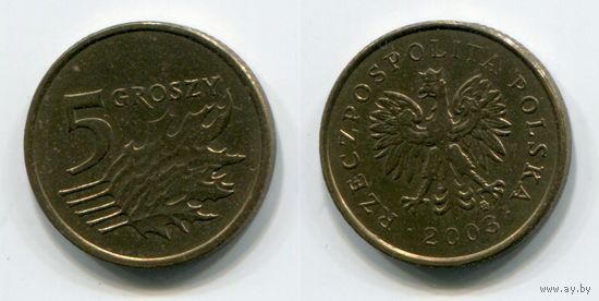 Польша. 5 грошей (2003, XF)