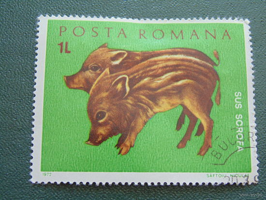 Румыния 1972 г. Фауна.