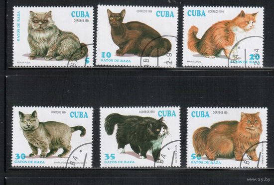 Куба-1994,(Мих.3730-3735) гаш.,  Фауна, Кошки (полная серия)