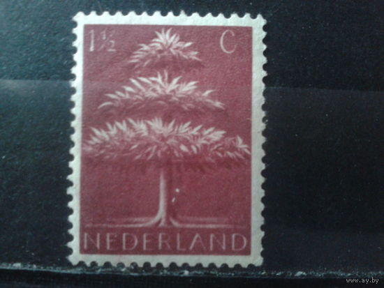 Нидерланды 1943 Дерево*