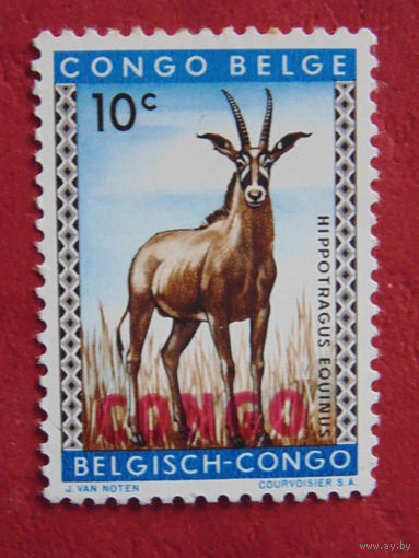 Бельгийское Конго - 1959 г. Антилопа. Надпечатка.