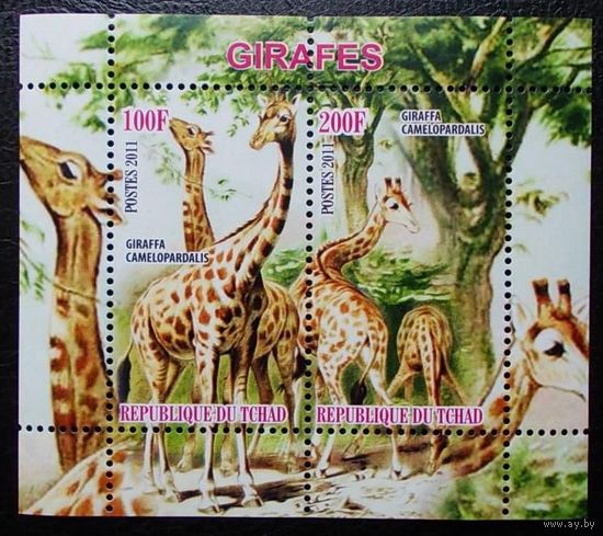 Марки - фауна жирафы Чад 2011 блок