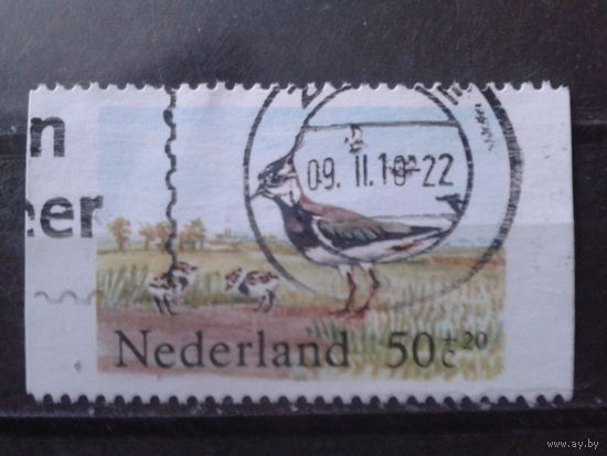 Нидерланды 1984 Птицы, рулонная марка