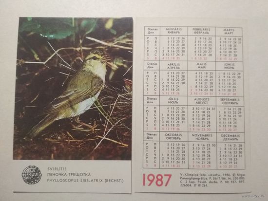 Карманный календарик. Птица Пеночка-трещётка. 1987 год