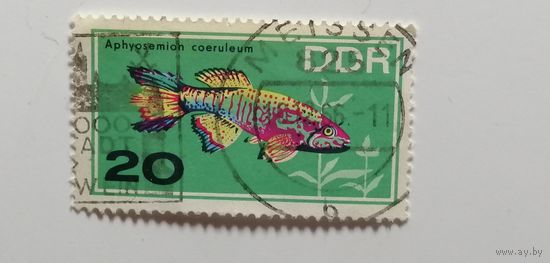 ГДР 1966. Аквариумные рыбки
