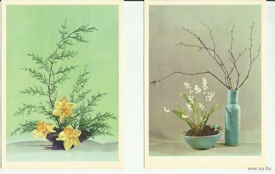Композиции из цветов. Полный набор из 15 открыток. 1973 г. большой формат