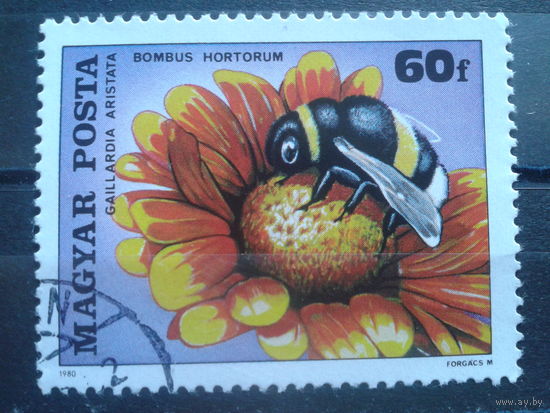 Венгрия 1980 шмель на цветке