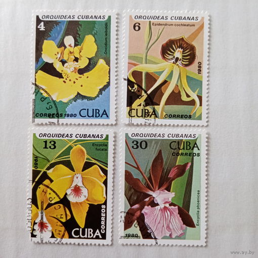 Куба 1980. Флора. Орхидеи