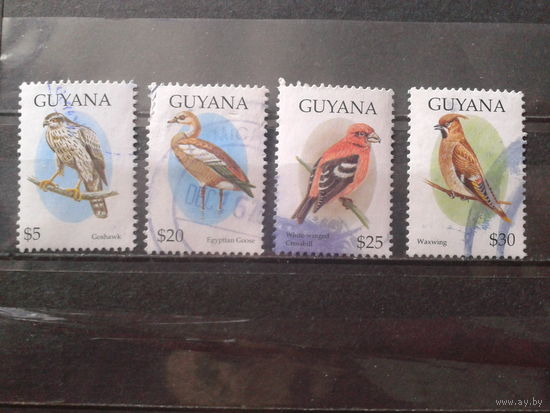 Гайяна 1995 Стандарт, птицы