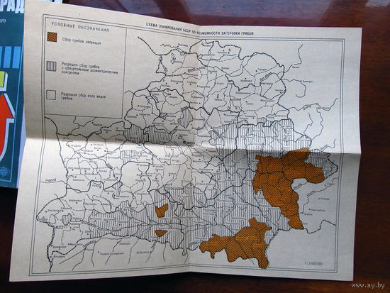 К1-460 Карта Грибы и радиация Схема зонирования БССР по возможности заготовки грибов СССР Минск Полымя 1989 Распродаю коллекцию карт и атласов 1950-1990-е Несколько сотен единиц Страны мира